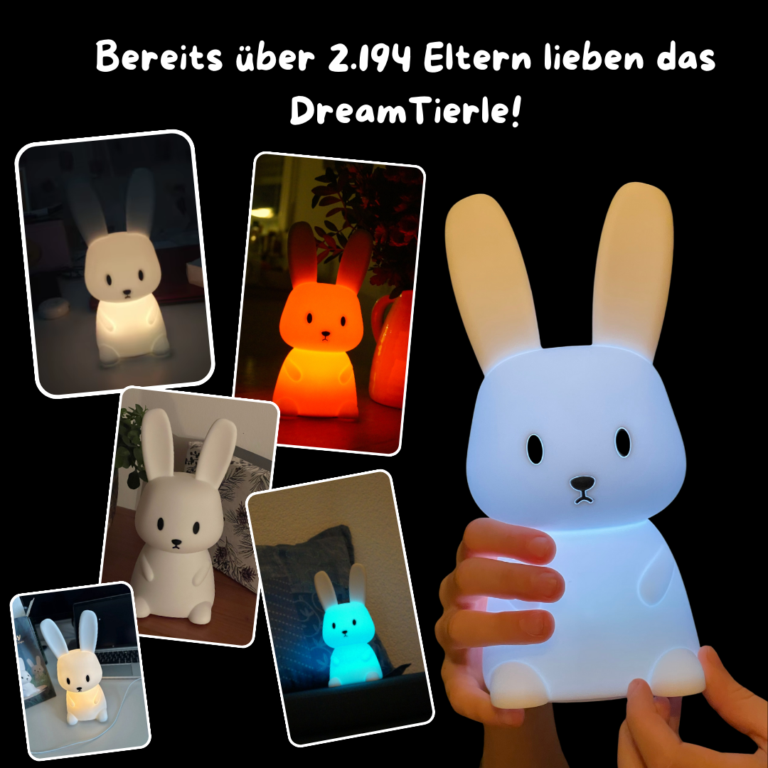 Magisches Nachtlicht - Häschen