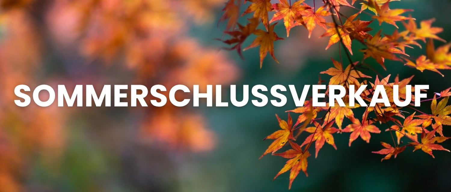 Banner_Desktop_Version