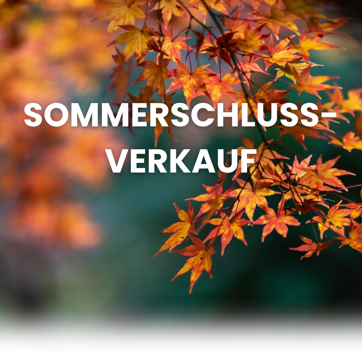 Banner_Desktop_Version